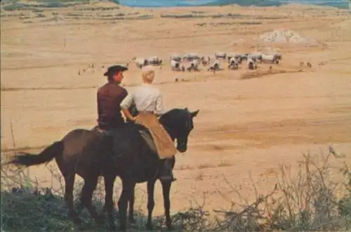 Sammelbild Karl May, Filmszene Unter Geiern, Nr. 214, Annie, Martin, Götz George, Elke Sommer