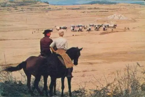 Sammelbild Karl May, Filmszene Unter Geiern, Nr. 214, Annie, Martin, Götz George, Elke Sommer