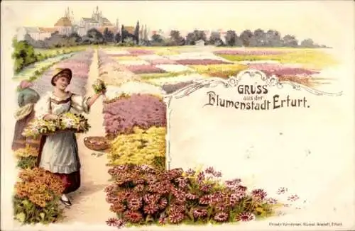 Litho Erfurt in Thüringen, Gärtnerin, Blumenbeete, Panorama vom Ort