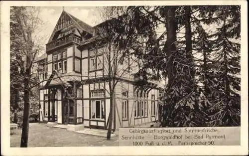 Ak Bad Pyrmont in Niedersachsen, Sennhütte, Burgwaldhof