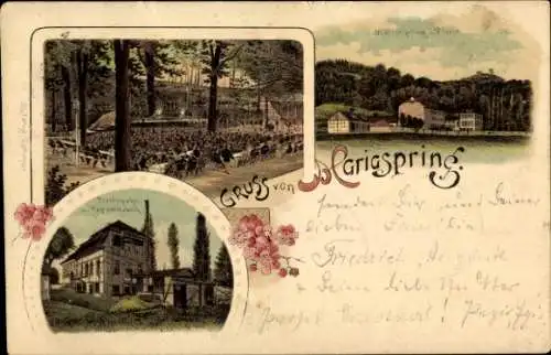 Litho Eddigehausen Bovenden Landkreis Göttingen, Mariaspring, Pressspahn- und Pappenfabrik