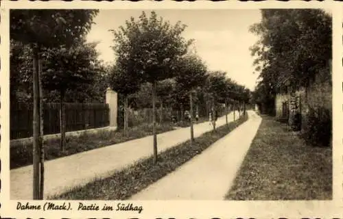 Ak Dahme in der Mark, Promenade im Südhag