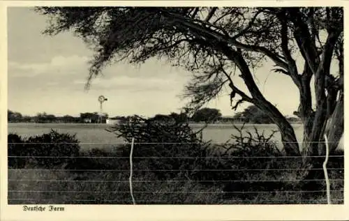 Ak Namibia Deutsch Südwest Afrika, Blick auf eine Deutsche Farm