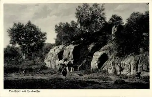 Ak Namibia, Deutsch Südwestafrika, Landschaft mit Hundsaffen, Rückgabe deutscher Kolonien