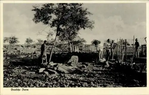 Ak Namibia Deutsch-Südwest-Afrika, Deutsche Farm