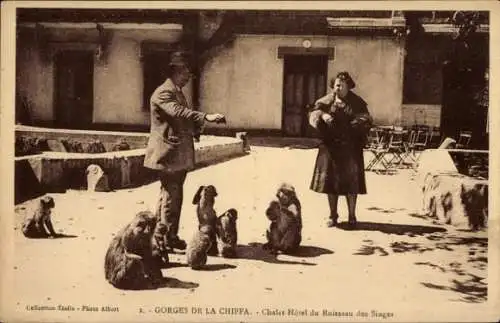 Ak Gorges de la Chiffa Algerien, Chalet Hotel du Ruisseau des Singes