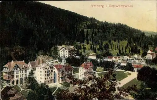 Ak Triberg im Schwarzwald, Teilansicht