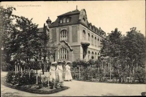 Ak Essen im Ruhrgebiet, Stadtgarten, Rosenplatz