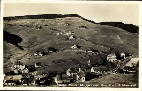 Ak Muggenbrunn Todtnau im Südschwarzwald, Panorama