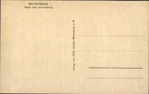 Ak Miltenberg am Main Unterfranken, Blick vom Schlossberg, Panorama