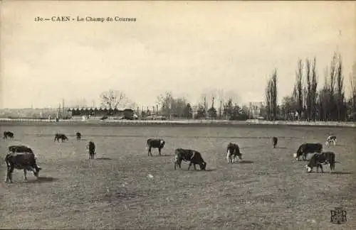 Ak Caen Calvados, Le Champ de Courses