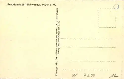 Künstler Ak Biese, K., Freudenstadt im Schwarzwald, Franzosenmühle