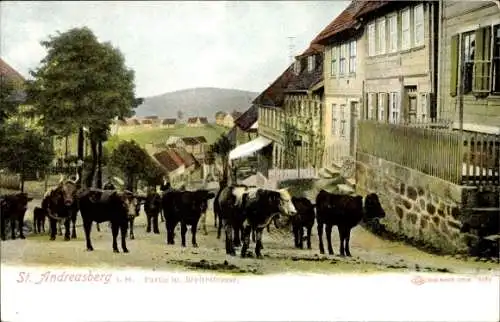 Ak Sankt Andreasberg im Oberharz, Rinder, Breite Straße