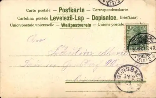 Präge Ak Glückwunsch Neujahr 1902, Schwalben, Vergissmeinnicht