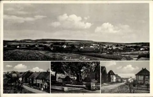 Ak Herrhausen Seesen am Harz, Panorama, Siedlung, Ehrenmal