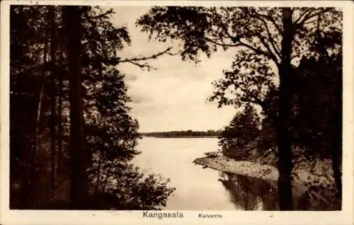 Ak Kangasala Finnland, Kalvanto