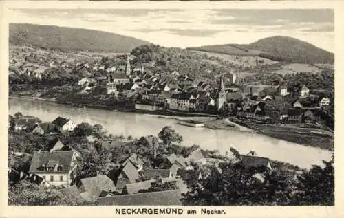 Ak Neckargemünd am Neckar, Panorama