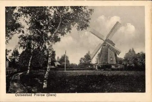 Ak Ostseebad Prerow auf dem Darß, Windmühle