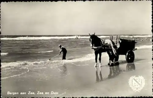 Ak Scheveningen Den Haag Südholland, Strand, Pferd mit Wattwagen