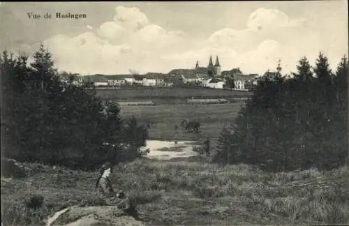 Ak Hosingen Luxemburg, Teilansicht