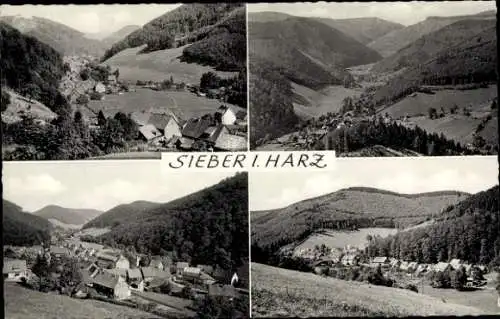 Ak Sieber Herzberg am Harz, Teilansichten