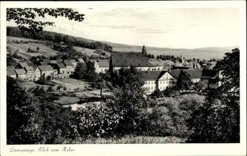 Ak Lamspringe in Niedersachsen, Teilansicht, Blick vom Heber