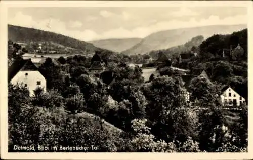 Ak Detmold am Teutoburger Wald, Panorama, Berlebecker Tal