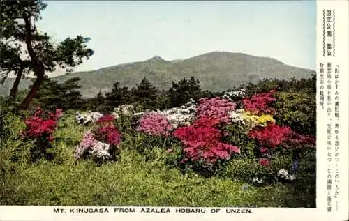 Ak Japan, Berg Kinugasa von Azalea Hobaru von Unzen