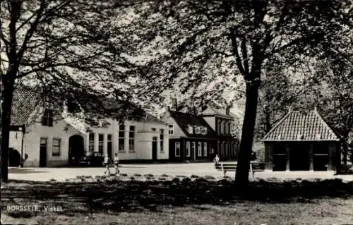 Ak Borssele Borsele Zeeland Niederlande, Viskot