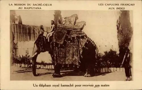 Ak Rajputana Indien, La Mission du Sacre Coeur, Ein königlicher Elefant, um seinen Sohn zu empfangen