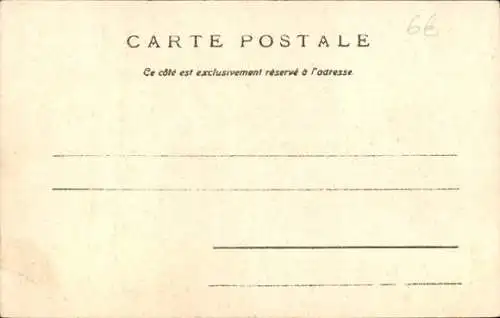 Ak Glückwunsch Neujahr 1903, Blumen