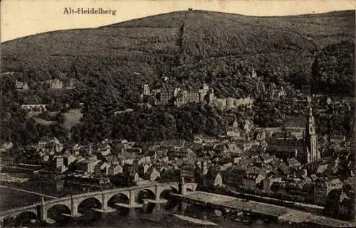 Ak Heidelberg am Neckar, Alt-Heidelberg, Totalansicht