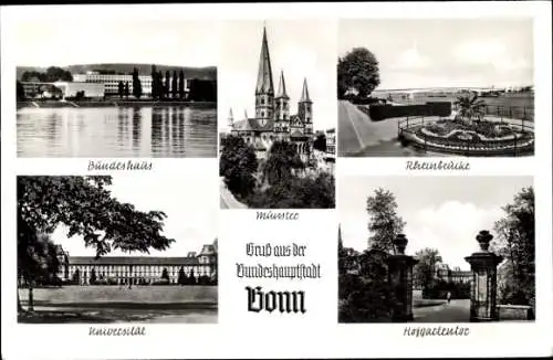 Ak Bonn am Rhein, Münster, Bundeshaus, Universität, Rheinbrücke, Hofgartentor