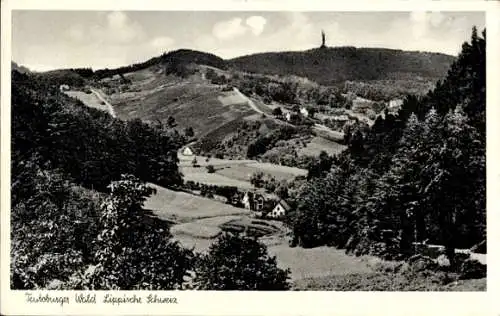 Ak Detmold am Teutoburger Wald, Blick zum Hermannsdenkmal, Lippsche Schweiz