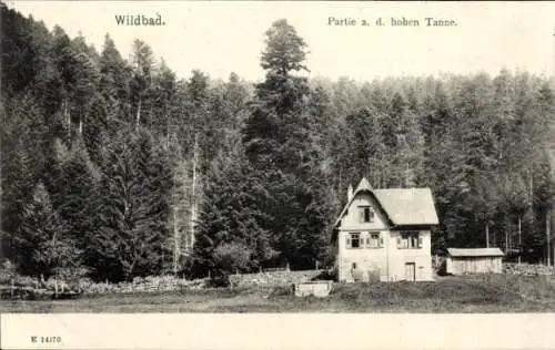 Ak Bad Wildbad im Schwarzwald, Hohe Tanne, Gebäude