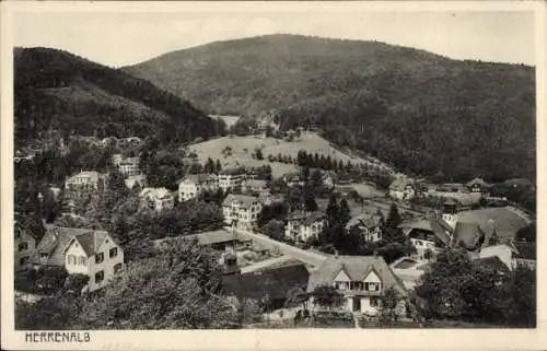 Ak Bad Herrenalb im Schwarzwald, Totalansicht