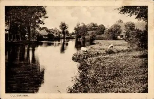 Ak Oldeboorn Friesland Niederlande, Teilansicht