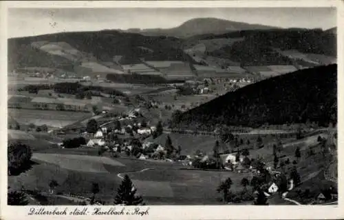 Ak Dittersbach Lísková Haselbach Region Pilsen, Gesamtansicht