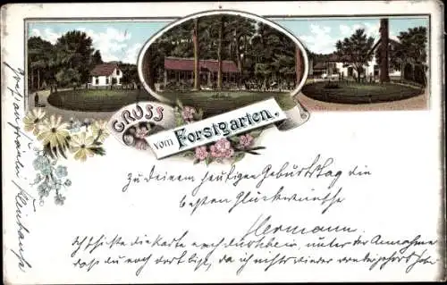 Litho Gießen an der Lahn Hessen, Forstgarten