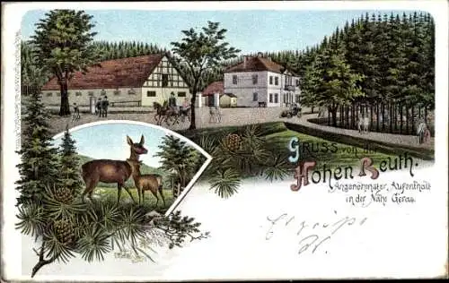 Litho Bocka in Thüringen, Gasthaus Hohe Reuth, Rehe