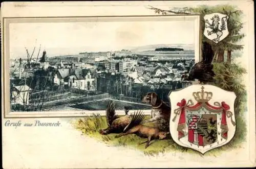 Präge Wappen Ak Pößneck in Thüringen, Totalansicht