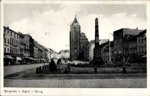 Ak Chojnów Haynau Schlesien, Ring, Denkmal