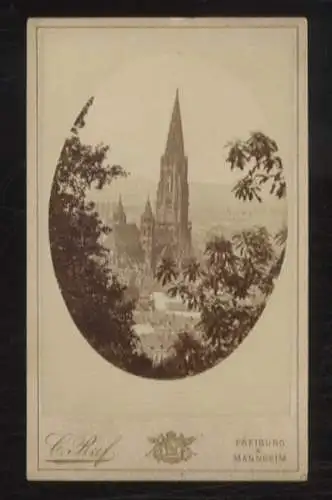 CdV Foto Freiburg im Breisgau, Das Freiburger Münster