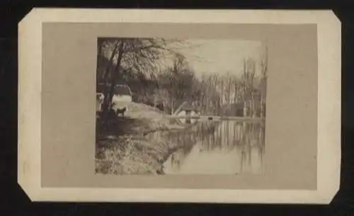 CdV Foto Dänemark Aarhus, Partie am See