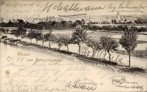 Ak Sangerhausen am Südharz, Panorama