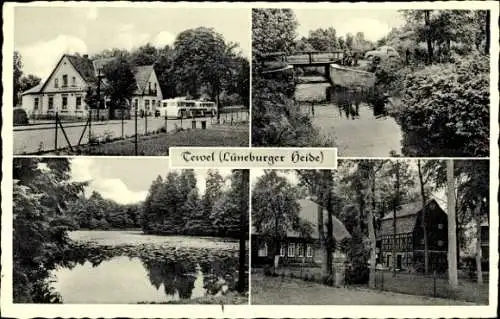 Ak Tewel Neuenkirchen in der Lüneburger Heide, Teilansichten, Gasthaus, Bus