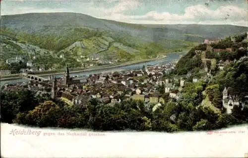 Ak Heidelberg am Neckar, Gesamtansicht, Blick gegen Neckartal