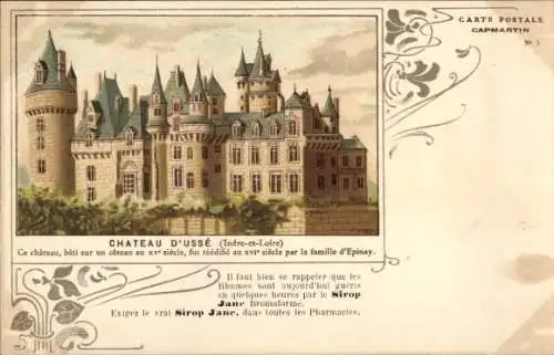 Litho Rigny Usse Indre et Loire, Schloss