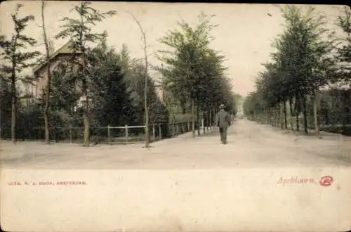 Ak Apeldoorn-Gelderland, Allee