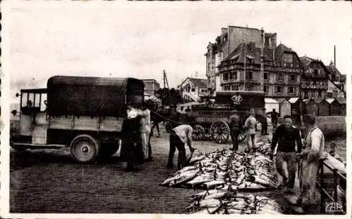 Ak Concarneau Finistère, Thunfischanlandung